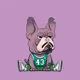 Frenchie Baller #4537