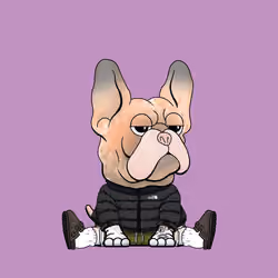 Frenchie Baller #101