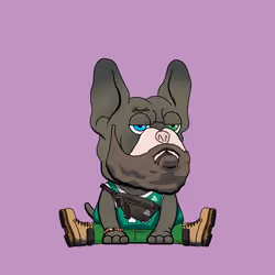 Frenchie Baller #1469