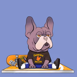 Frenchie Baller #3353