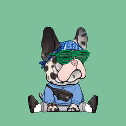 Frenchie Baller #2087