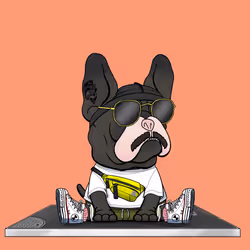 Frenchie Baller #897
