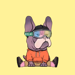 Frenchie Baller #1642