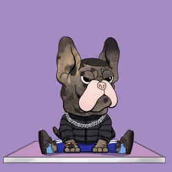 Frenchie Baller #1322