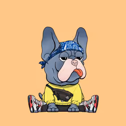 Frenchie Baller #2692