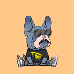 Frenchie Baller #2340