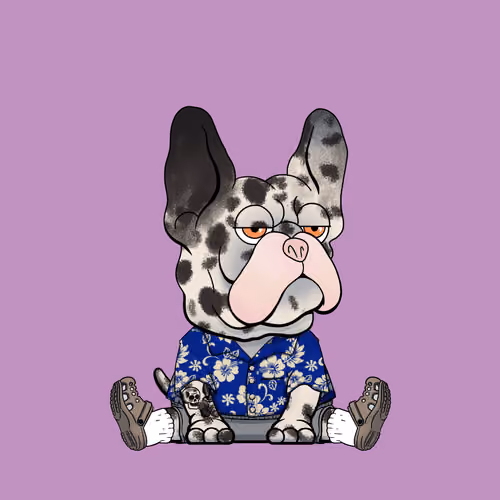 Frenchie Baller #1821