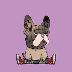 Frenchie Baller #4029