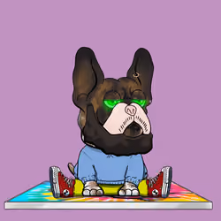 Frenchie Baller #769