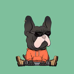 Frenchie Baller #702