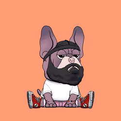 Frenchie Baller #1357