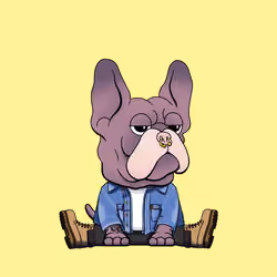 Frenchie Baller #2124