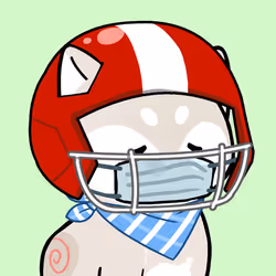 244