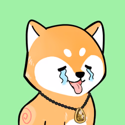 Shiba #308