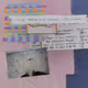 81