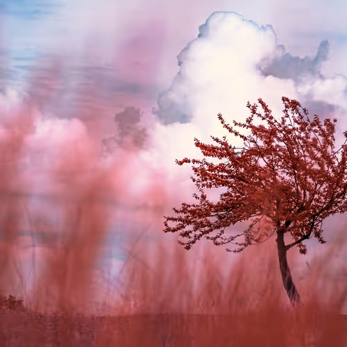 The Infrared Journey Somewhere In Between