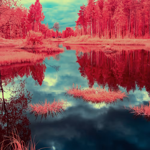 The Infrared Journey Somewhere In Between