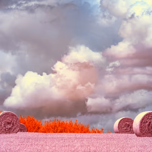 The Infrared Journey Somewhere In Between