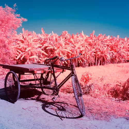 The Infrared Journey Somewhere In Between