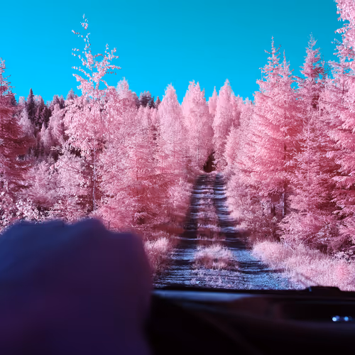 The Infrared Journey Somewhere In Between