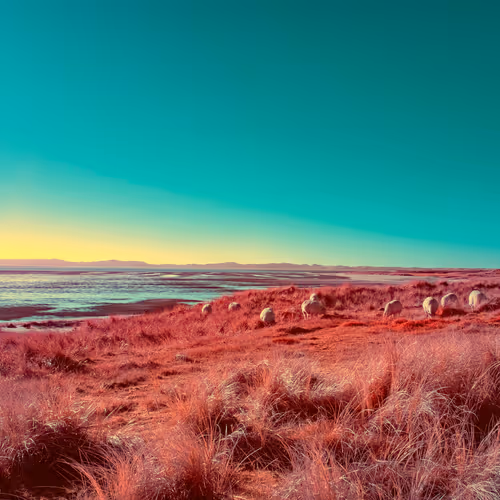 The Infrared Journey Somewhere In Between