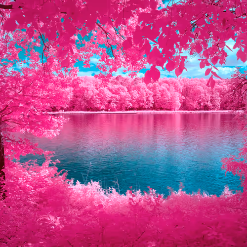 The Infrared Journey Somewhere In Between