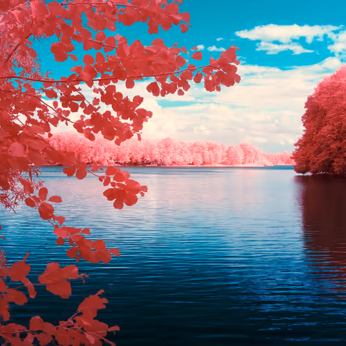 The Infrared Journey Somewhere In Between
