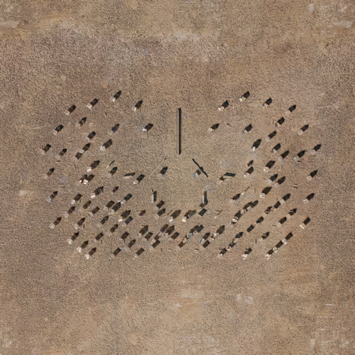 Item #31946296525744824328753280828797417080692251952513183340713878305007073191314 Media