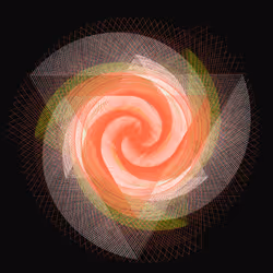291