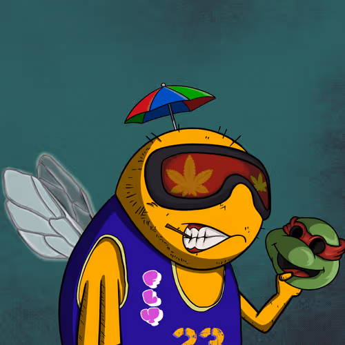 Fly Wen