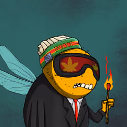 Fly Wen #68