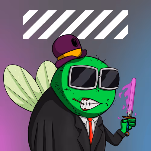 Fly Wen