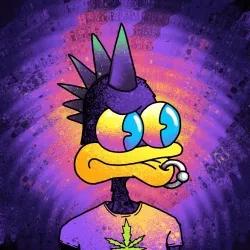 WackyDuck 5994