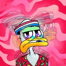 WackyDuck 5595