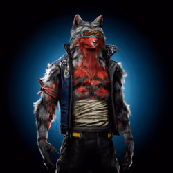 Wolf #503