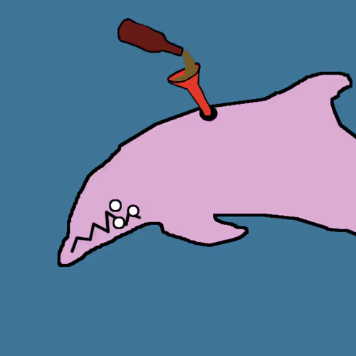 Discombobulated Dolphins