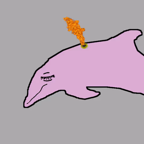 Discombobulated Dolphins