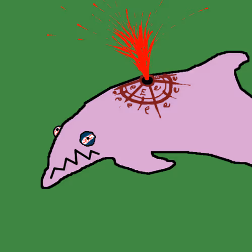 Discombobulated Dolphins