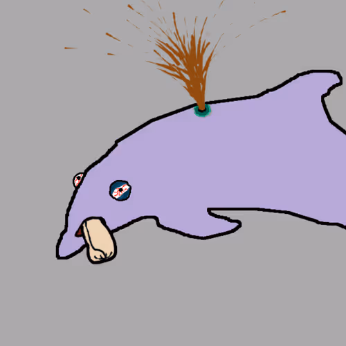 Discombobulated Dolphins