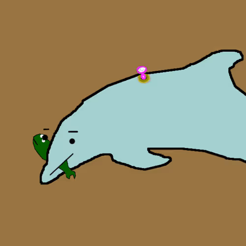 Discombobulated Dolphins