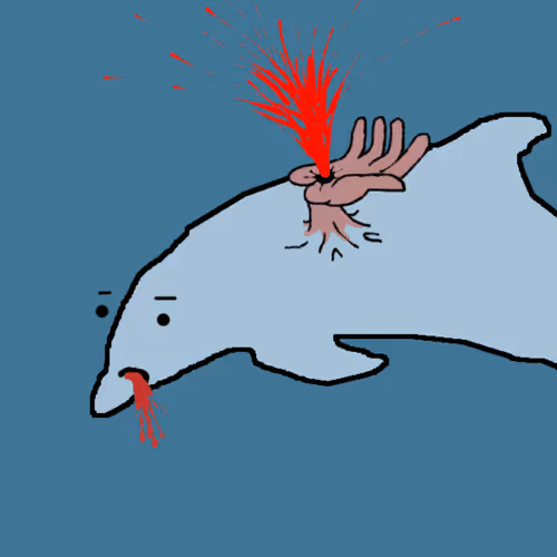 Discombobulated Dolphins