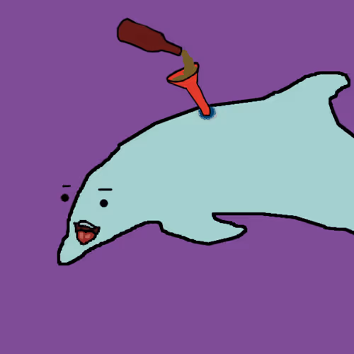 Discombobulated Dolphins