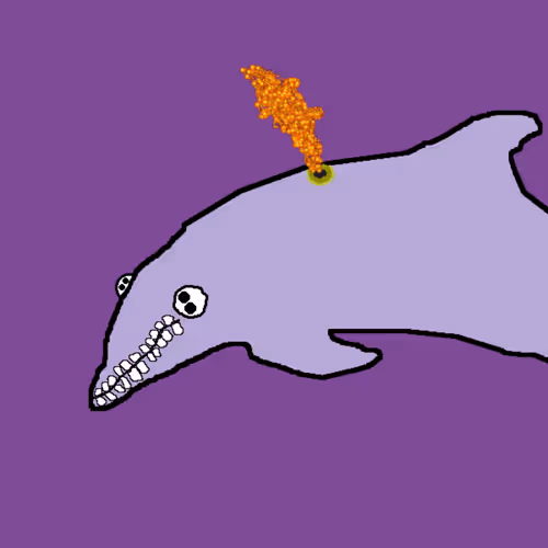 Discombobulated Dolphins