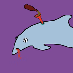 Dolphin #2779