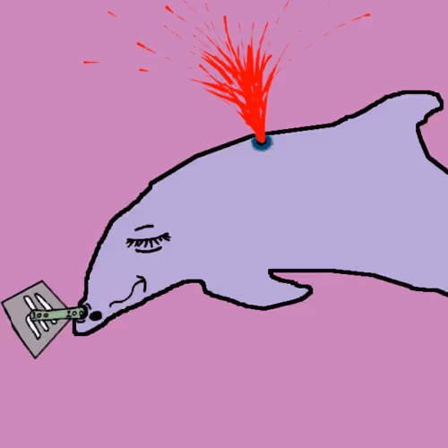 Discombobulated Dolphins