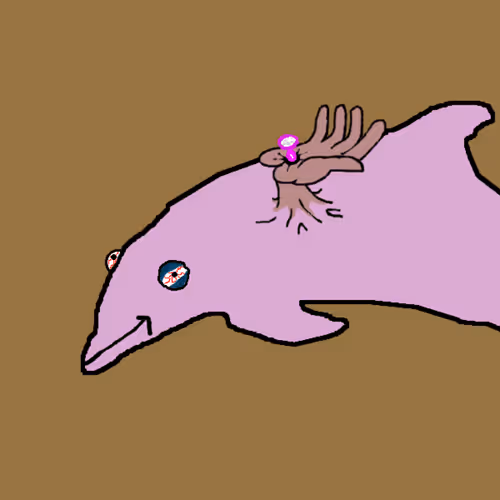 Discombobulated Dolphins