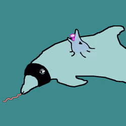 Dolphin #1358