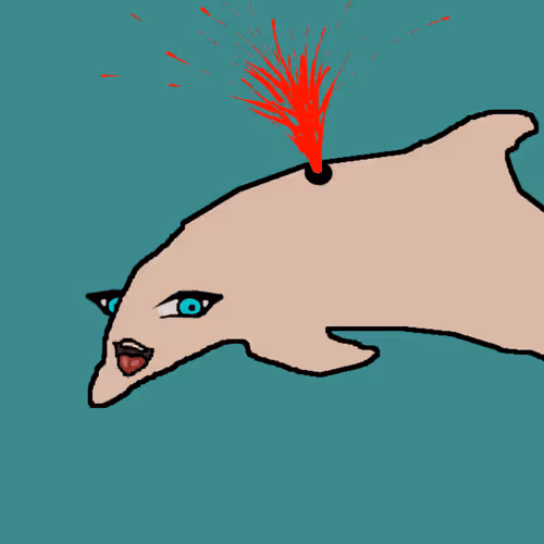Discombobulated Dolphins