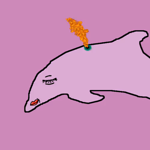 Discombobulated Dolphins
