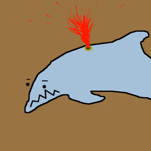 Discombobulated Dolphins